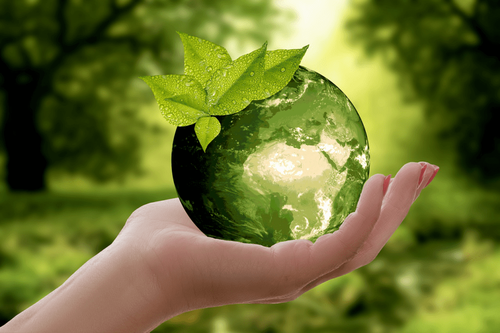 Image of a green earth, symbolizing sustainability and environmental consciousness