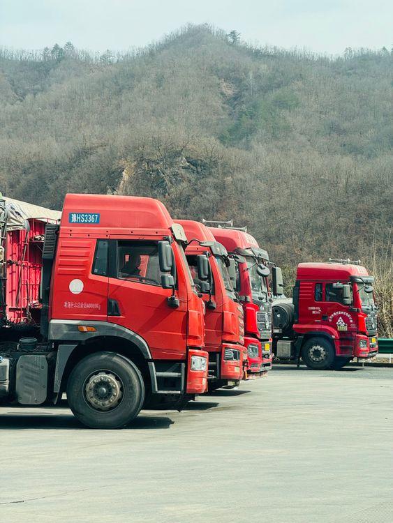 Line of heavy-duty cargo trucks on a roadway